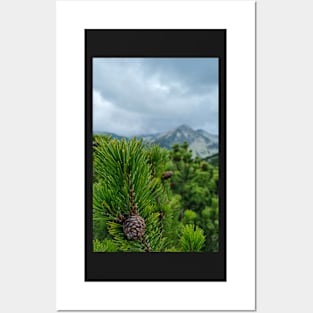 Mountain Pine Tree Scenery Posters and Art